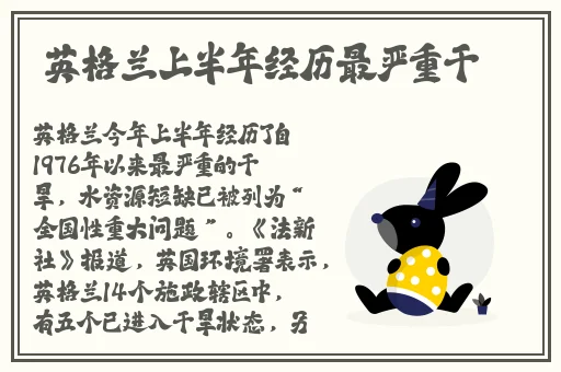 蜜芽转接口