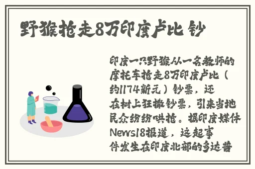 8X拨牐拨牐X8免费视频8